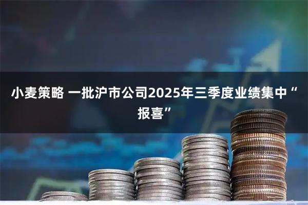 小麦策略 一批沪市公司2025年三季度业绩集中“报喜”