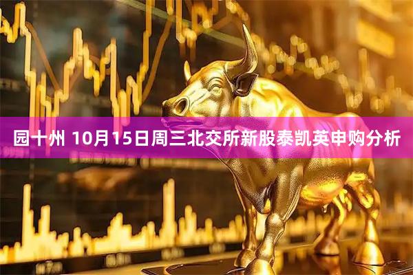 园十州 10月15日周三北交所新股泰凯英申购分析