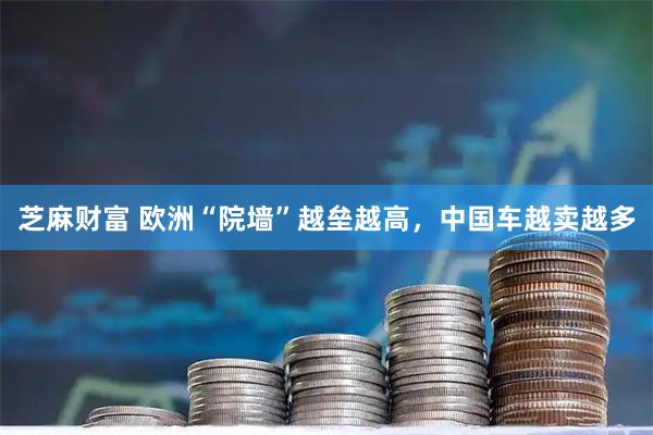 芝麻财富 欧洲“院墙”越垒越高，中国车越卖越多